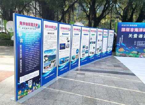 登封KT板的种类和知识。